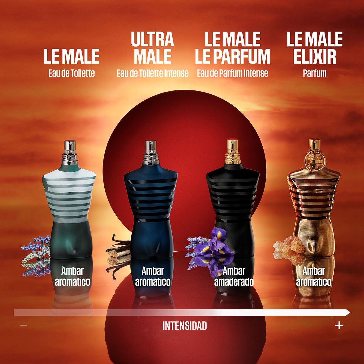 Le Male Elixir Parfum Perfume para Hombre